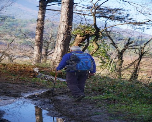 active man hiking and walking in nature